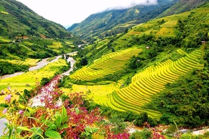 Tourism in Điện Biên – Highlight in the journey to experience northwest mountainous region
