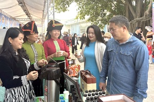 Diverse Showcase of OCOP Products Unveiled in Điện Biên