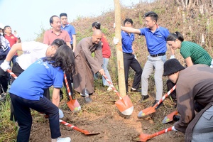 1,000 trees planted at historic sites in Điện Biên