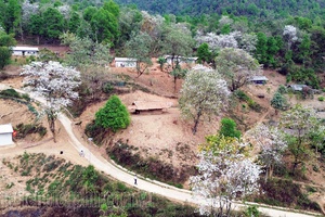 Điện Biên boosts community tourism potentials in Nậm Cứm Village 