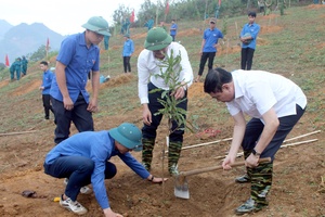 Điện Biên enhances education to change people's awareness while growing macadamia 