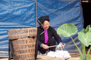 Dao women uphold tradition of cotton cultivation and weaving