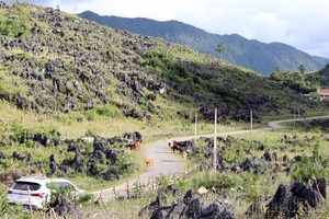 The tranquil beauty of Tả Phìn plateau lures tourists to Điên Biên