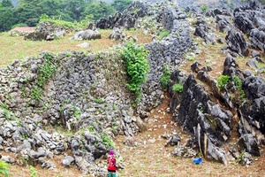 The Unique Stone Fences of the H’Mông in Điện Biên