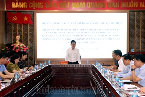 Mường Ảng District proposes boosting forest service payments and support