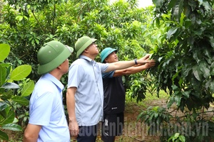 Vice Chairman Lò Văn Tiến inspects socio-economic development in Mường Ảng