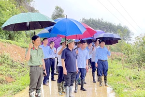 Permanent Deputy Secretary of the Provincial Party Committee Mùa A Sơn Conducts Working Visit to Điện Biên Đông District