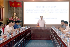 Điện Biên Provincial Party Committee calls for the start of rural power supply project in Mường Ảng District