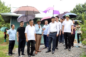 Laos’ Luang Namtha delegation visits macadamia plantation in Điện Biên Phủ City