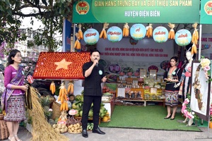 'Điện Biên showcases and promotes safe agricultural and food products