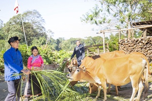 'The holiday that shows Xạ Phang people’s bond with their livestock animals