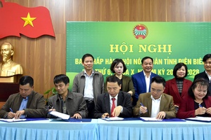 Điện Biên Province has more than 3,500 outstanding business households