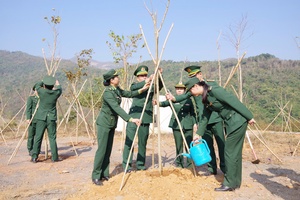 Điện Biên border guard force launches tree planting festival