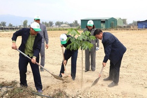 Điện Biên’s Department of Agriculture and Rural Development holds tree planting festival