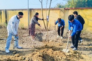 Beauty of tree planting festival