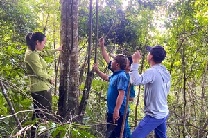 How locals are benefiting from forest protection incentives