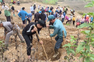 Điện Biên farmers join non-monetized exchange of group work