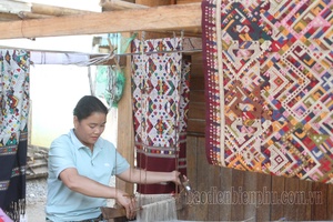 'Preserving the art of Pa Xa Lào brocade weaving