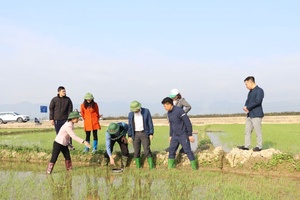 'Điện Biên eyes prospects of smart, low-emission rice cultivation model