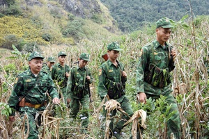 Solidly guarding the border