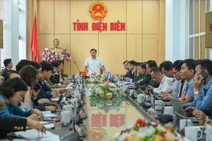 Thorough preparation urged for up-coming major festivals in Điện Biên