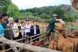 'A “bridge” for social policy credit in Mường Ảng