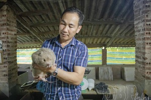 'Developing household economy through bamboo rat farming