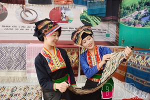 Developing OCOP products in Điện Biên: Quality over quantity