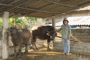 'When people are given choice of livestock