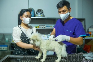 'Rabies prevention should not be taken lightly