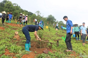 'Macadamia planting festival in Tuần Giáo