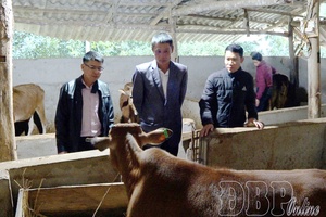 'Policy credit: Fostering the will to escape poverty in Tuần Giáo