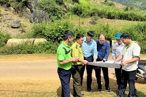 'Challenges in identifying forest owners