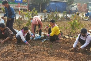 'Actively preparing for Party congresses with practical actions