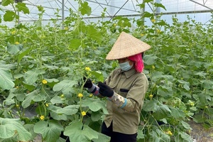 Science and technology drives circular agriculture forward