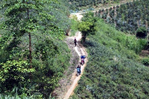 'Agricultural production adapts to climate change in Điện Biên