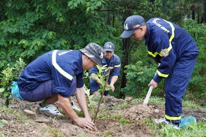 'Efforts to combat climate change and protect environment