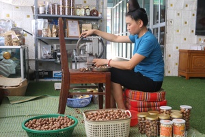 'Farmers in Tuần Giáo increase value of agricultural products
