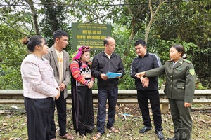 Mường Nhé mobilizes community to protect forests