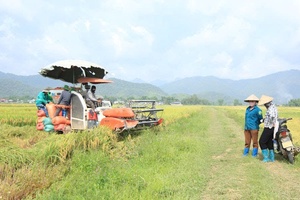 'Production costs increase, farmers face losses