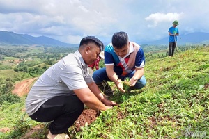 'Not indifferent to environment
