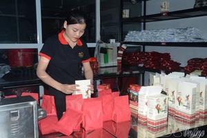 'Điện Biên focuses on developing political-social organizations in enterprises
