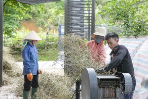 'Bringing science to the highlands: Technology boosts farming in Tủa Chùa