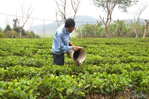 Developing safe and sustainable agriculture