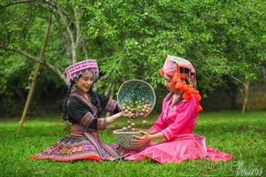 'Cooperation in agricultural tourism development boosted in Điện Biên
