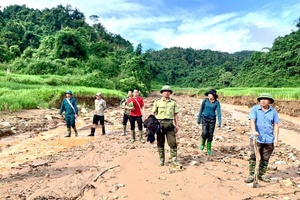 'Challenges of “green lungs” protection during rainy season