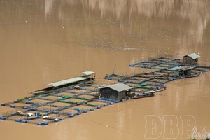 'Socio-economic development in Tủa Thàng commune
