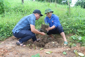 Điện Biên boosts environmental protection for sustainable development