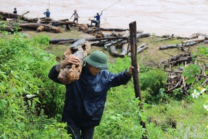 'Collecting firewood and fishing during flood season - Unpredictable dangers