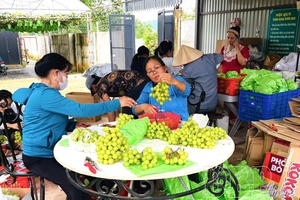 Điện Biên makes efforts to expand markets for local farm products